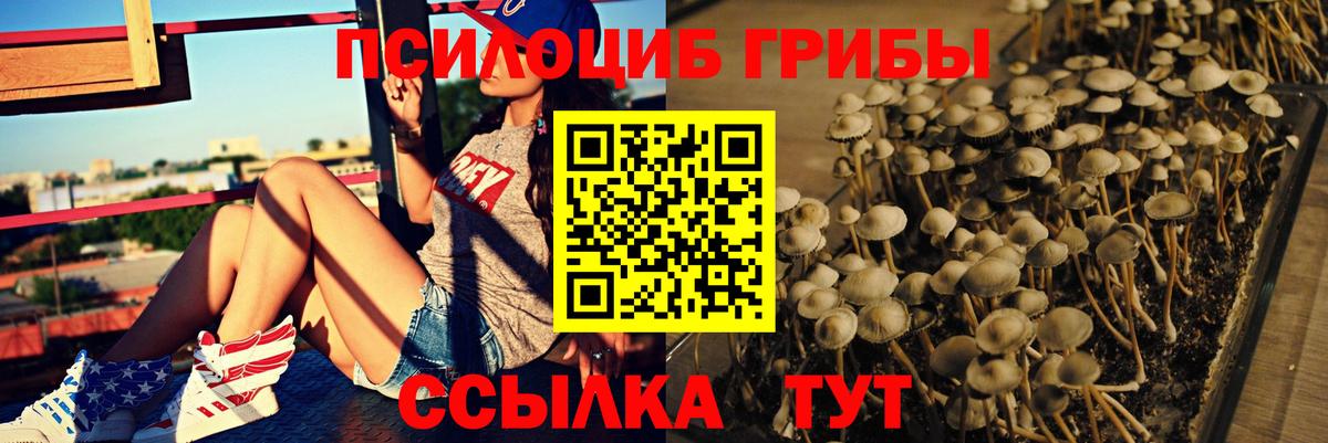 Галлюциногенные грибы MAGIC MUSHROOMS Барнаул